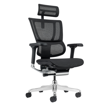 Ергономичен стол ERGOHUMAN ELITE 2 - черна рамка - черен