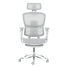 Ергономичен стол HAM W - сив