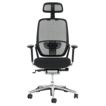 Ергономичен стол VAUD - черен