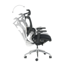 Ергономичен стол GANDER - черен Ергономичен стол GANDER - черен