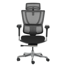 Ергономичен стол ERGOHUMAN IOO ELITE 2 - черна рамка - черен Ергономичен стол ERGOHUMAN IOO ELITE 2 - черна рамка - черен