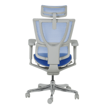 Ергономичен стол ERGOHUMAN IOO ULTRA - сива рамка - син Ергономичен стол ERGOHUMAN IOO ULTRA - сива рамка - син