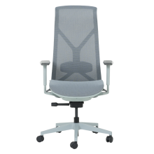 Ергономичен стол BETHAL - син