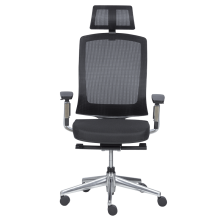 Ергономичен стол ALBI - черен