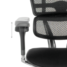 Ергономичен стол ERGOHUMAN ELITE 2 - черна рамка - черен