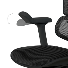 Ергономичен стол ERGOHUMAN ELITE 2 - черна рамка - черен