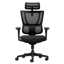 Ергономичен стол ERGOHUMAN IOO BUDGET 2 - черна рамка - черен