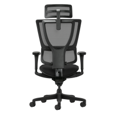 Ергономичен стол ERGOHUMAN IOO BUDGET 2 - черна рамка - черен