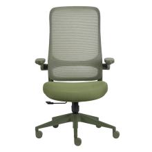 Ергономичен стол BAKU - зелен