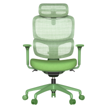 Ергономичен стол JULFA - зелен