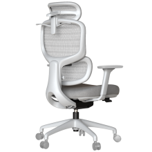 Ергономичен стол ZARDAB - сив