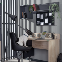 Етажерка за стена MOTTO